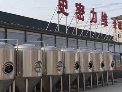 兴仁精酿啤酒设备厂—如何判断精酿啤酒设备的密封件需要更换？